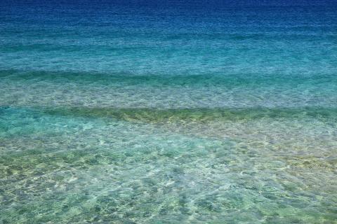 Waves in shallows