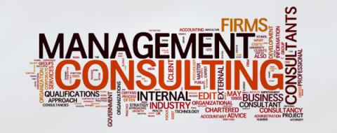 Management consulting word cloud
