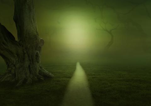 A foggy path illustrating uncertainty